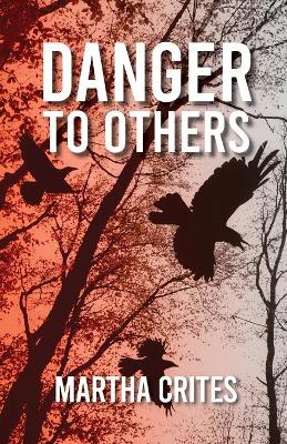 Book cover for Danger to Others