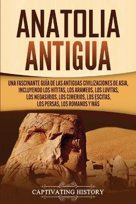 Book cover for Anatolia Antigua