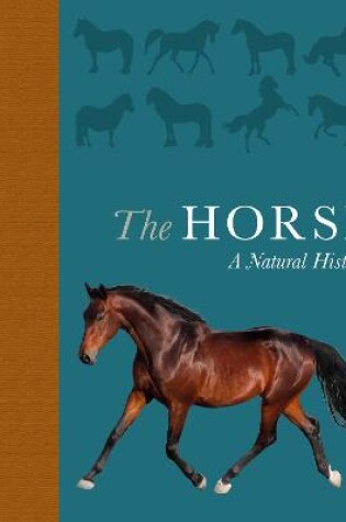 Cover of The Horse