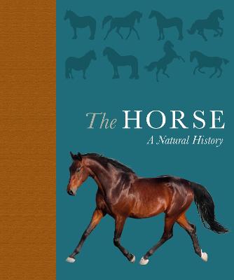 Book cover for The Horse