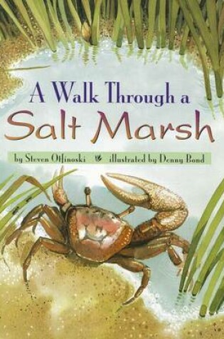 Cover of A Walk Through a Salt Marsh