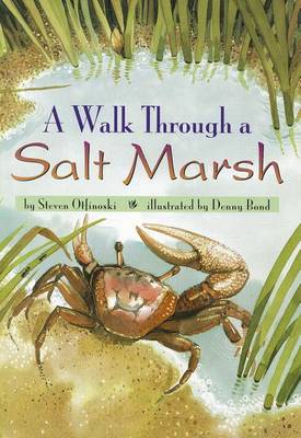 Book cover for A Walk Through a Salt Marsh