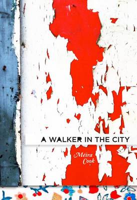 Book cover for A Walker in the City