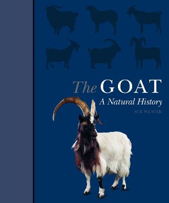 Book cover for The Goat