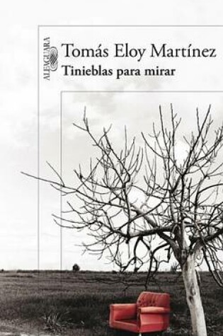 Cover of Tinieblas Para Mirar