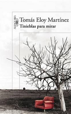 Book cover for Tinieblas Para Mirar