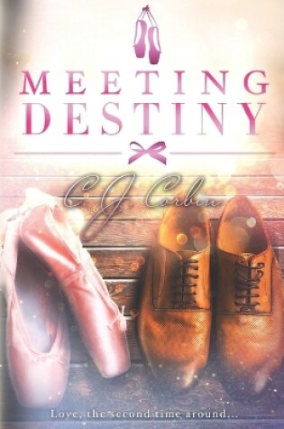 Cover of Meeting Destiny