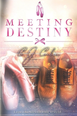 Book cover for Meeting Destiny