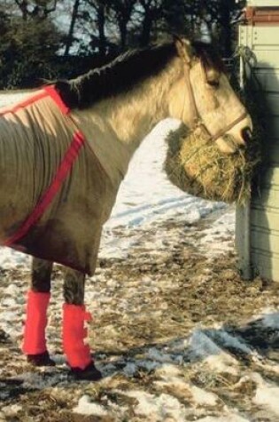 Cover of 2020 Daily Planner Horse Photo Equine Blanketed Horse Winter 388 Pages