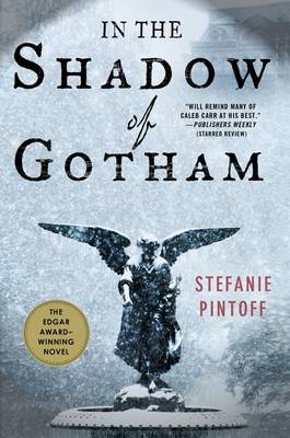 In the Shadow of Gotham by Stefanie Pintoff
