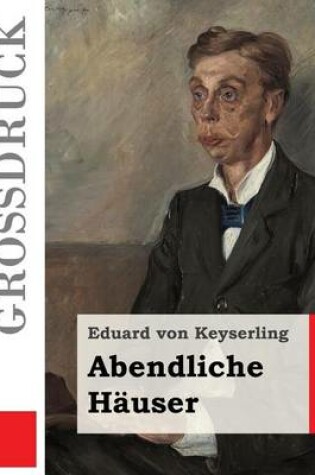 Cover of Abendliche Hauser (Grossdruck)