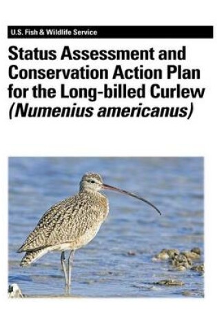 Cover of Status Assessment and Conservation Action Plan for the Long-billed Curlew (Numenius americanus)