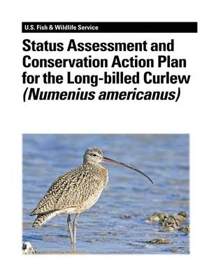 Book cover for Status Assessment and Conservation Action Plan for the Long-billed Curlew (Numenius americanus)