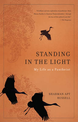 Book cover for Standing in the Light