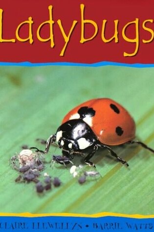 Cover of Ladybugs-PB