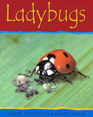 Book cover for Ladybugs-PB