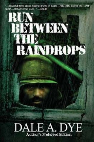 Cover of Run Between the Raindrops