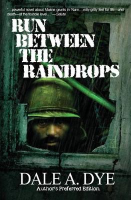 Book cover for Run Between the Raindrops