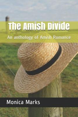 Book cover for The Amish Divide