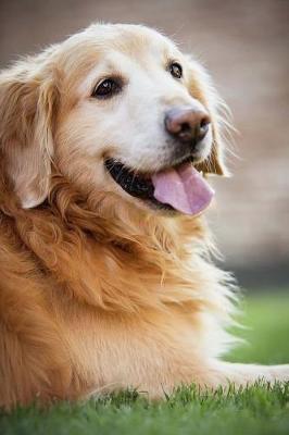 Book cover for Cute Happy Golden Retriever Notebook