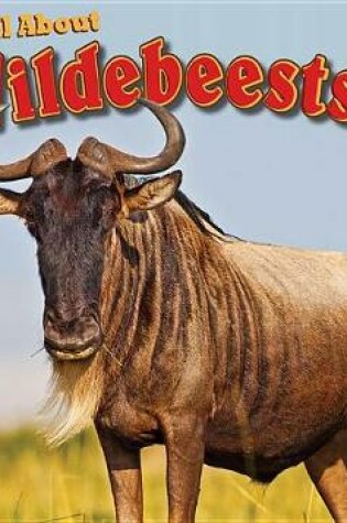 Cover of All about Wildebeests