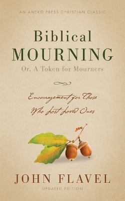 Book cover for Biblical Mourning