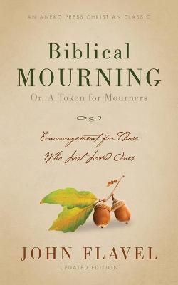 Book cover for Biblical Mourning