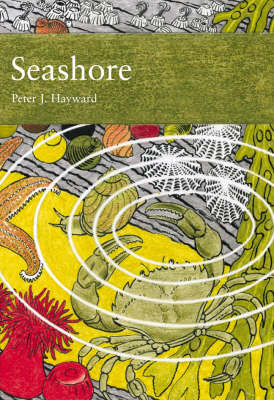 Book cover for Seashore