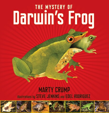 Book cover for The Mystery of Darwin's Frog