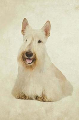 Cover of Scottish Terrier