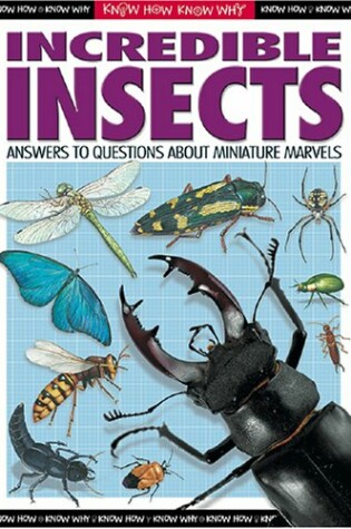 Cover of Know How, Know Why Incedible Insects