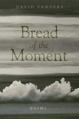 Book cover for Bread of the Moment