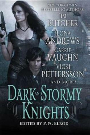 Cover of Dark and Stormy Knights