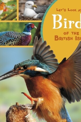 Cover of Birds of the British Isles