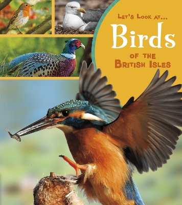 Book cover for Birds of the British Isles