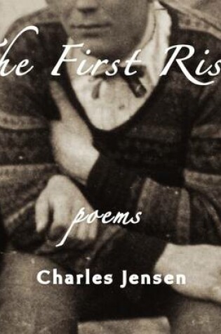 Cover of The First Risk