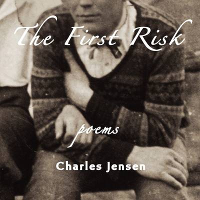 Book cover for The First Risk