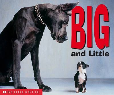 Book cover for Big and Little Board Book