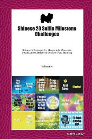 Cover of Shinese 20 Selfie Milestone Challenges