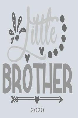 Book cover for Little Brother - 2020