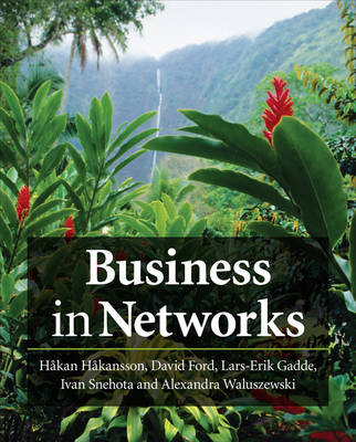 Book cover for Business in Networks