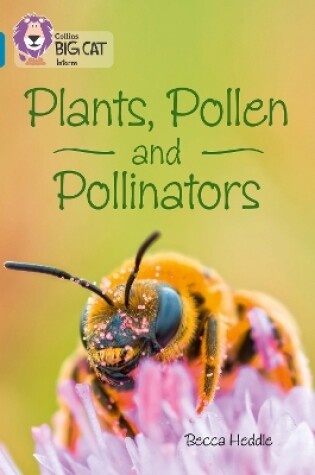 Cover of Plants, Pollen and Pollinators