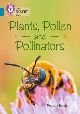 Book cover for Plants, Pollen and Pollinators