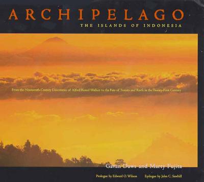 Book cover for Archipelago