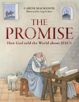 Book cover for The Promise