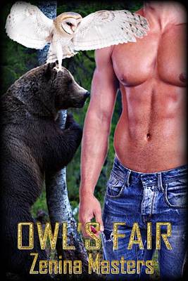 Book cover for Owl's Fair