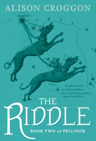 Book cover for The Riddle