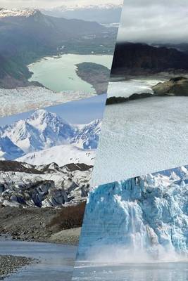 Book cover for Website Password Organizer a Collage of Alaskan Glaciers