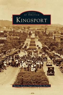 Book cover for Kingsport