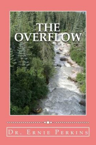 Cover of The Overflow